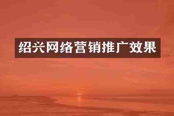 绍兴网络营销推广效果