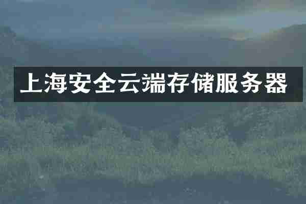 上海安全云端存储服务器