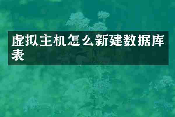 虚拟主机怎么新建数据库表