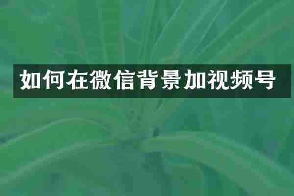 如何在微信背景加视频号