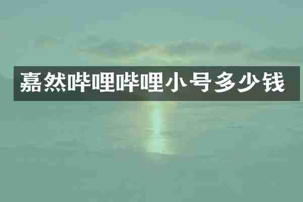 嘉然哔哩哔哩小号多少钱