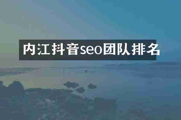 内江抖音seo团队排名