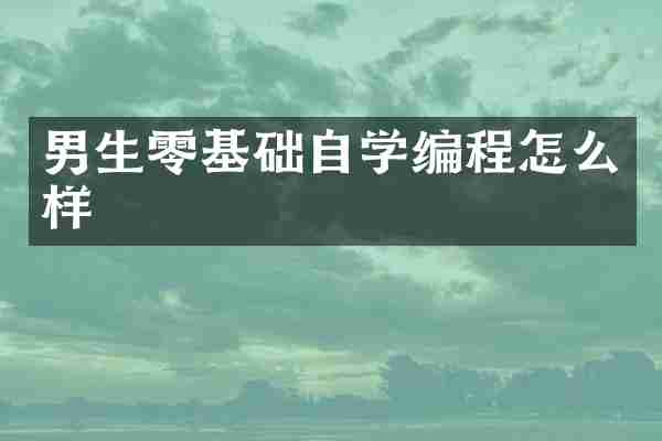 男生零基础自学编程怎么样