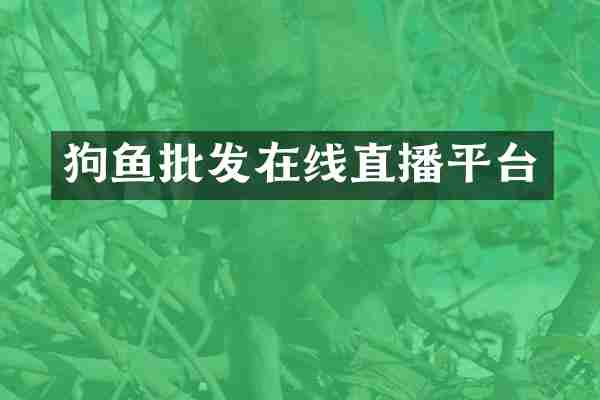 狗鱼批发在线直播平台