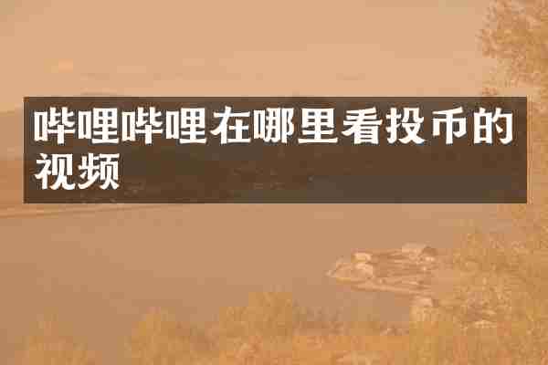 哔哩哔哩在哪里看投币的视频