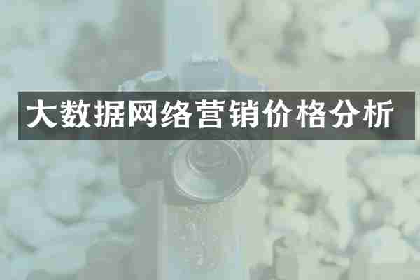 大数据网络营销价格分析