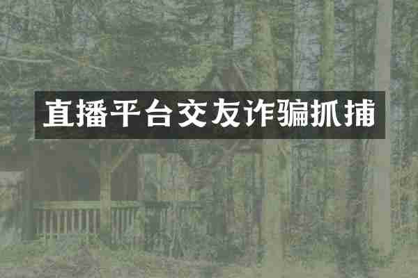 直播平台交友诈骗抓捕