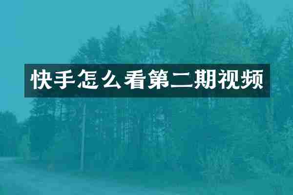 快手怎么看第二期视频
