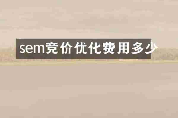 sem竞价优化费用多少