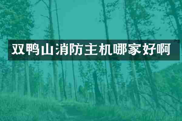 双鸭山消防主机哪家好啊