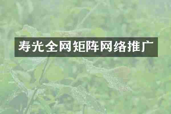寿光全网矩阵网络推广