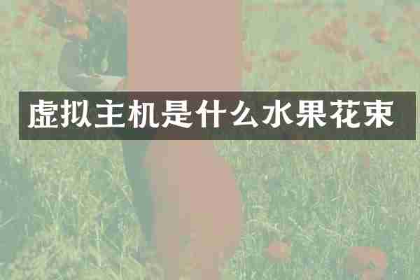 虚拟主机是什么水果花束