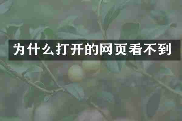 为什么打开的网页看不到
