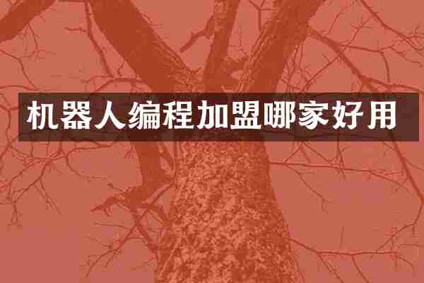 机器人编程加盟哪家好用