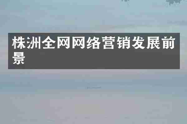 株洲全网网络营销发展前景
