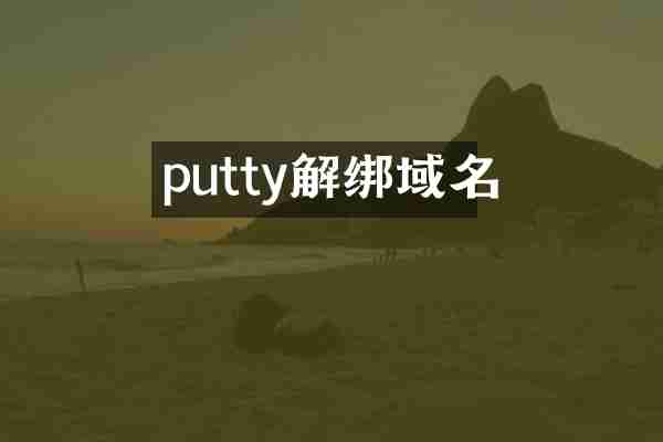 putty解绑域名