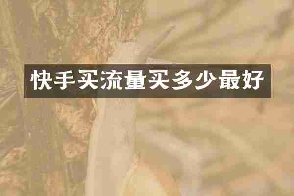 快手买流量买多少最好