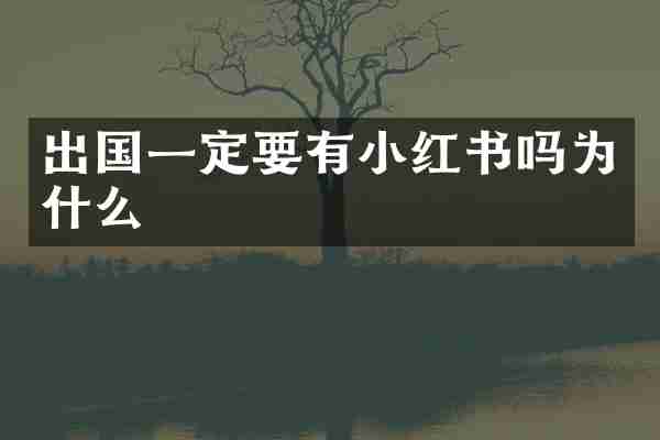 出国一定要有小红书吗为什么