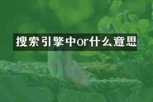 搜索引擎中or什么意思