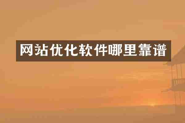 网站优化软件哪里靠谱