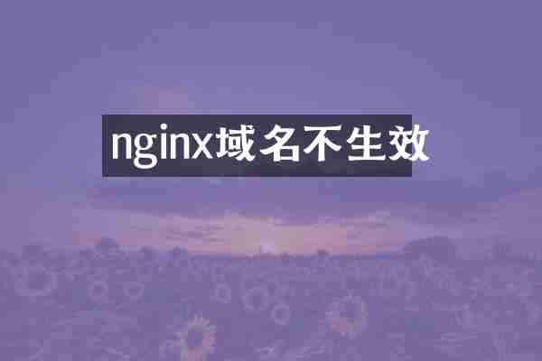 nginx域名不生效
