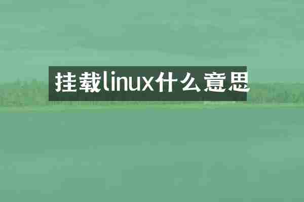挂载linux什么意思