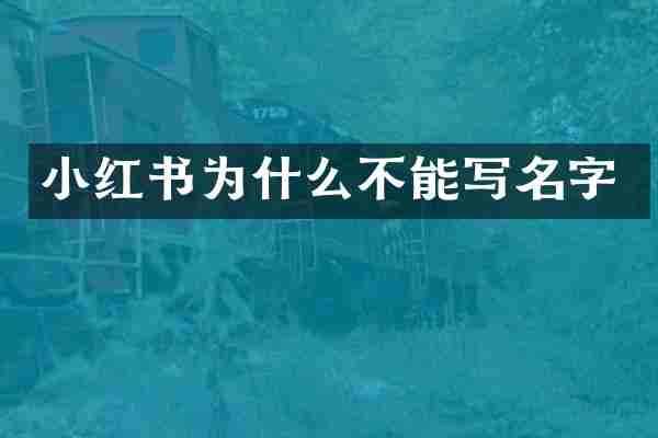 小红书为什么不能写名字