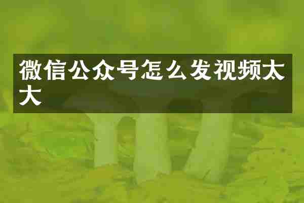 微信公众号怎么发视频太大