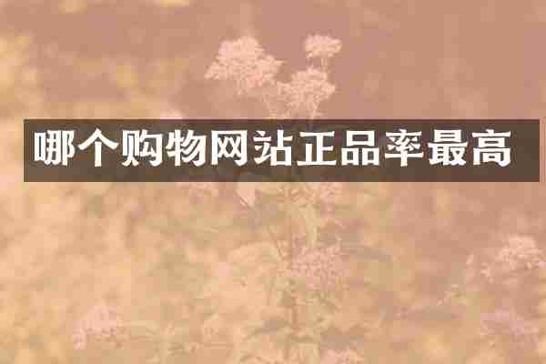 哪个购物网站正品率最高