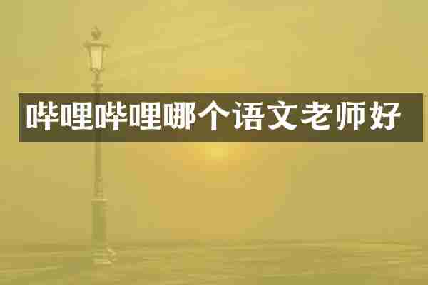 哔哩哔哩哪个语文老师好