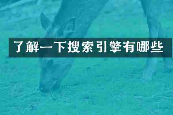 了解一下搜索引擎有哪些