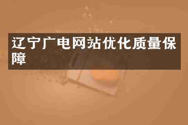 辽宁广电网站优化质量保障