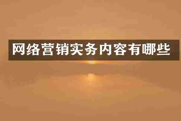 网络营销实务内容有哪些