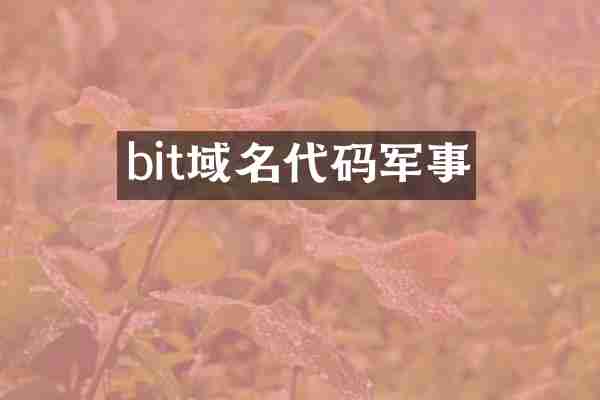 bit域名代码军事