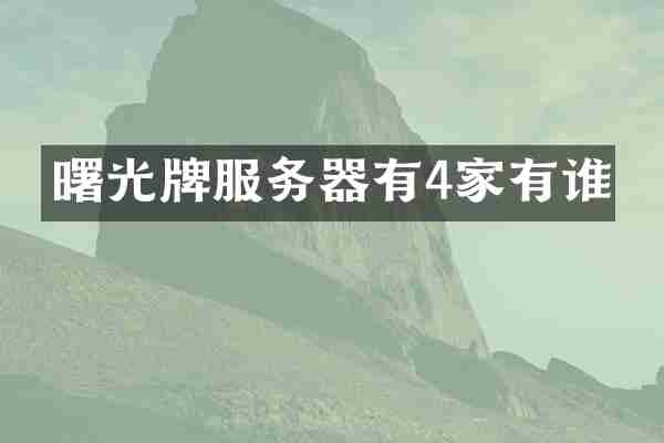 曙光牌服务器有4家有谁