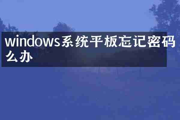 windows系统平板忘记密码怎么办