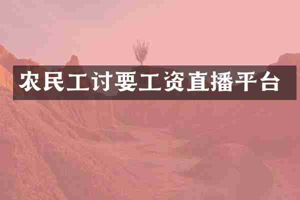 农民工讨要工资直播平台