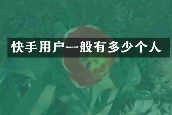 快手用户一般有多少个人