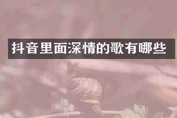 抖音里面深情的歌有哪些