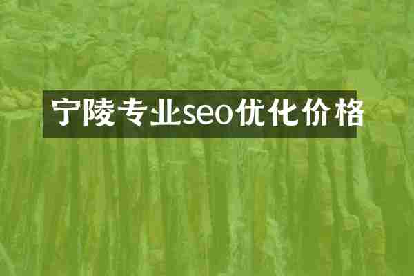 宁陵专业seo优化价格