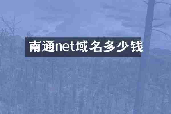 南通net域名多少钱
