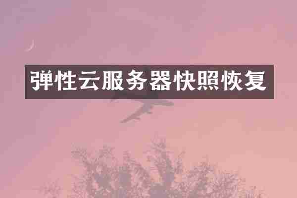 弹性云服务器快照恢复