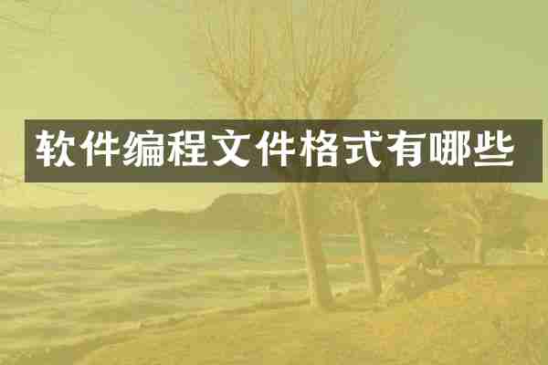 软件编程文件格式有哪些