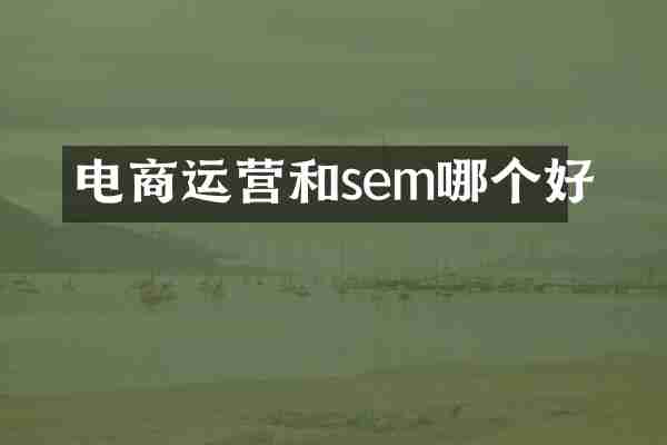 电商运营和sem哪个好