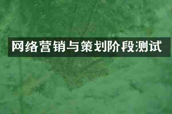 网络营销与策划阶段测试