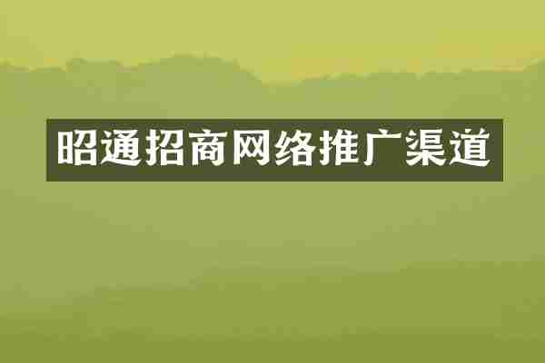 昭通招商网络推广渠道