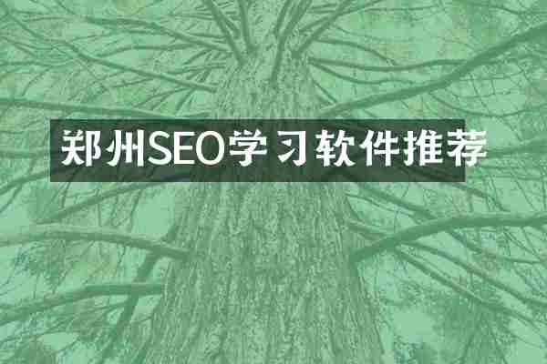 郑州SEO学习软件推荐