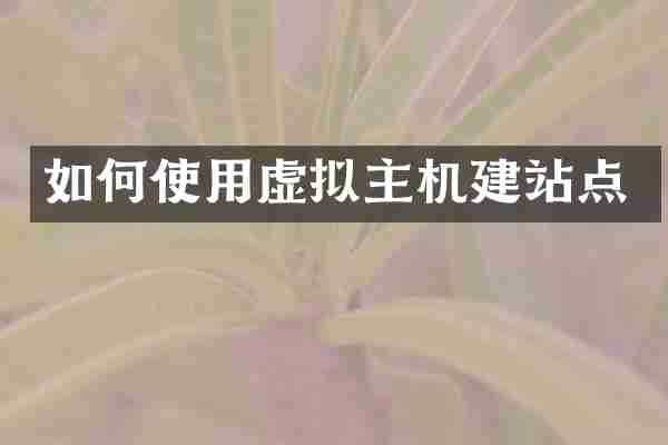 如何使用虚拟主机建站点