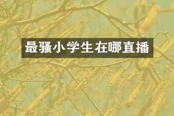 最骚小学生在哪直播