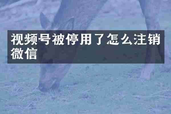视频号被停用了怎么注销微信